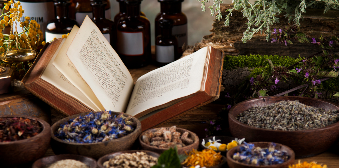 Bible Book Herbs Bible Book Herbs